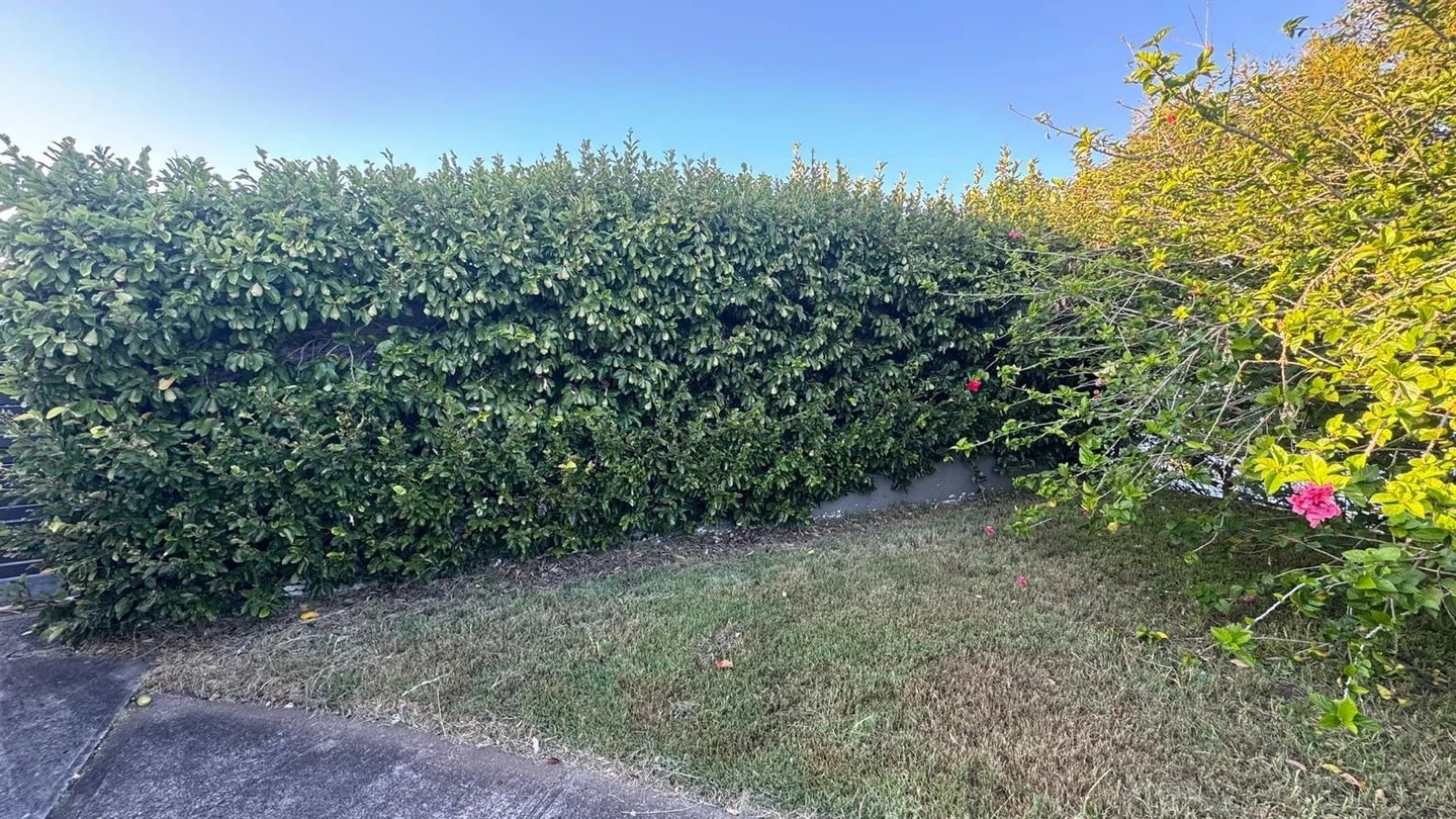 Residential frontage after gate and hedge removal beside the driveway entry