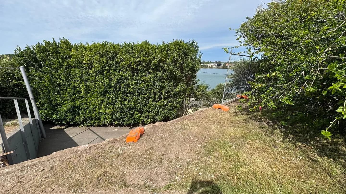 Residential driveway, gate and hedge removal work, view 3