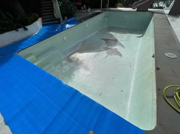 Drained residential pool with pale mosaic finish and dolphin designs before surface removal